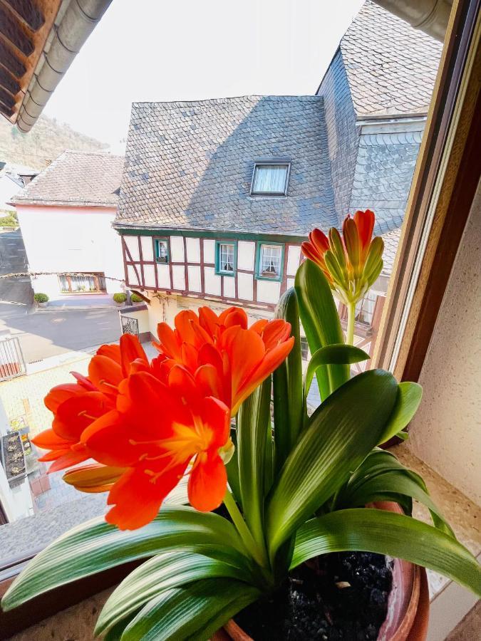Hotel Pension Balthasar Müden Extérieur photo